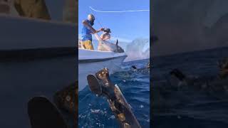 Spearfishing with Mayed and Leviatan from Soriatec speargun spearfishing soriatec [upl. by Ennaxor166]