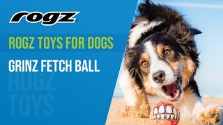 Rogz Toys for Dogs  Grinz Fetch ball [upl. by Leibrag]