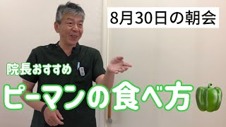 ［8月30日］HPVワクチン接種 安達医師会台風10号院長おすすめピーマンの食べ方🫑 夏野菜料理 [upl. by Anelrats100]