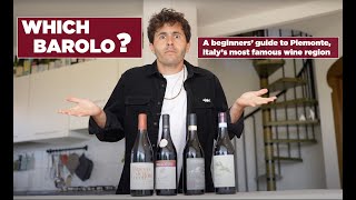 Top 5 wines from Piemonte to try a beginners guide to the most famous Italian wine region [upl. by Lamdin165]