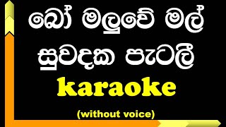 Bo Maluwe Mal Suwadaka  Karaoke  Without Voice  with Lyrics [upl. by Berman]