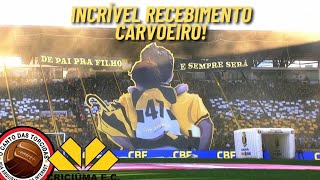 GRANDE FESTA DA TORCIDA DO CRICIÚMA COM MOSAICO 3D [upl. by Zeb869]