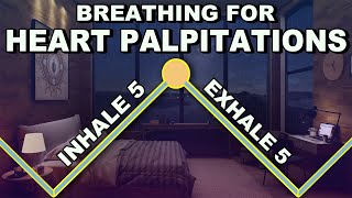 Breathing Exercise to Stop Heart Palpitations [upl. by Haral842]