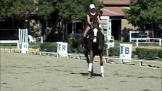 WESTLEY DRESSAGE CLIP [upl. by Lleznod]