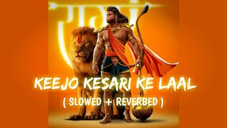 KEEJO KESARI KE LAAL  SLOWED  REVERBED 💓 [upl. by Blinni]