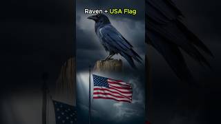 Ravens as a USA Flag Can you Imagine shorts hybrids [upl. by Anairt]