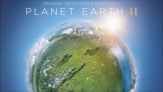 Hans Zimmer  Planet Earth II  Suite [upl. by Haimaj]