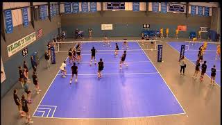 Alexa Green  2025  Munciana Samurai  Setter  Practice Film [upl. by Litton619]