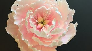 Gumpaste Peony tutorial [upl. by Adnert]