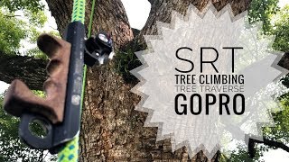 SRT  Tree Climbing  TreeTraverse  Limb walk  Gopro [upl. by Corbie214]