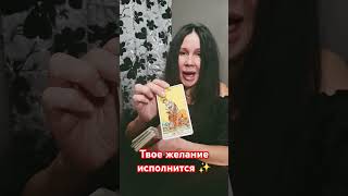 Пиши Принимаю и Да будет так 🙏таро tarot таролог гадание тароонлайн гаданиеонлайн раскладтаро [upl. by Trilbi]