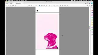 How to Export From InDesign to Print a BookletZine in Acrobat [upl. by Lundt]