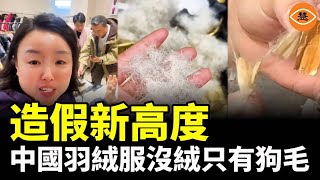 中國造假冰山一角 數萬羽絨服含絨量為0 摻雜豬狗毛 黑心棉更可怕 瘋搶日本衛生巾 [upl. by Bow]