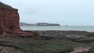 Preston Beach Paignton Pier and View of Brixham [upl. by Aylad]