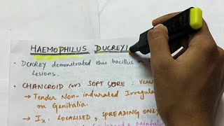 Haemophilus ducreyi  HACEK organisms  Microbiology  Handwritten notes [upl. by Evslin]