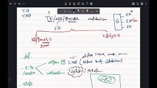 CVS biochemistry TAG metabolism [upl. by Assiar]