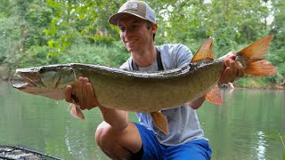 CLEAR WATER MUSKY FISHING The Fish of 10000 Casts [upl. by Mills966]