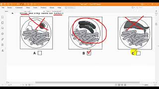 Cambridge English Preliminary 4 Listening Test 2 Part 1 [upl. by Eycats]