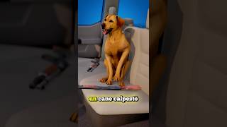 LUOMO CHE VENNE SPARATO DA UN CANE credits ​⁠zackdfilms [upl. by Odlareg]