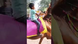 4 साल ही उम्र है अभी और 40 साल के बुढ़े को चैलेंज कर रहा ll horseriding horseracing sonpurmela [upl. by Clapp]