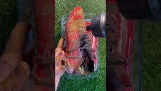 Adidas Speedflow’s Cleaning in ASMR 🧼⚽️ [upl. by Noved]