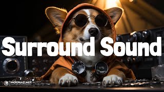 JID  Surround Sound  LYRICS  trademark usa  Baby Keem [upl. by Agnes9]