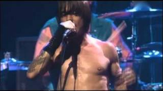 Red Hot Chili Peppers  Otherside  Live at Olympia Paris [upl. by Uel]