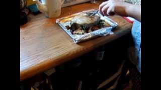 Cooking pike fish in a toaster oven [upl. by Ecnarwal]