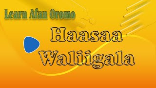 Haasaa Waliigala  General Conversation [upl. by Enellij407]