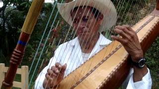 INTERPRETANDO SON CEREMONIAL INDÍGENA DE LA SIERRA DE ZONGOLICA VERACRUZ MEXICO [upl. by Alhan]