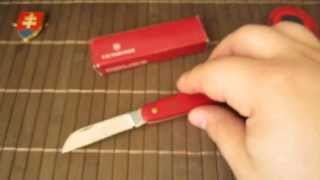 Victorinox Gardener knife EcoLine [upl. by Cirred935]