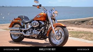 2014 Harley Fat Boy Test [upl. by Walton]