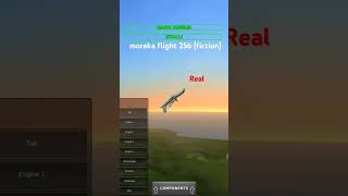 Moraka flight 256  fiction aviation flightsimulator flight pilot plane [upl. by Arag]