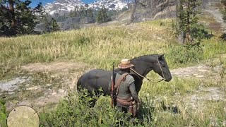 RDR2  Black American Standardbred with Location [upl. by Fanni831]