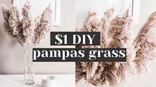 Easy DIY String Pampas Grass from Dollar Tree Materials [upl. by Melisse]