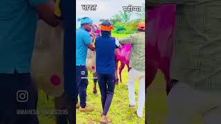 Bap ka name badal do guru ji😂😂🫰😱😏😄॥chiragchopra॥😆viarlshorts shortfeed comedy youtubeshorts [upl. by Eenehs]