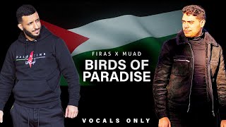 Firas X Muad  Birds Of Paradise Vocals Only [upl. by Dleifrag381]