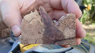 Make Pen Blanks From Heavily Spalted She Oak [upl. by Aiyn]