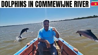 Boat Tour in Commewijne River With Dolphins  Suriname 🇸🇷 [upl. by Abihsat]