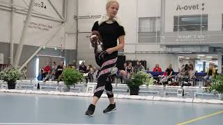 WINNING DRESSAGE ROUND Finnish Hobbyhorse Championships 2019 [upl. by Fatsug887]