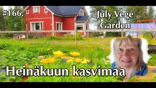 HEINÄKUUN KASVIMAA korpitalo kasvimaa omavaraisuus korpitalo kuusamo homestead garden [upl. by Atikehs313]