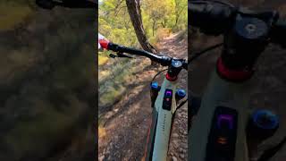 Curveo 🚴‍♂️⛰️ ebike mtb enduromtb [upl. by Calan]