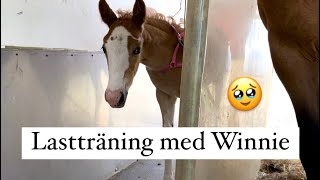 Winnies första lastträning [upl. by Nnaed]