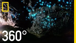 Glow Worm Caves of New Zealand in 360°  National Geographic [upl. by Aruam]