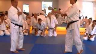 Nariyama Shihan  Teaching 6 Advanced Kansetsu Waza [upl. by Peper]