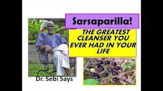 Why Sarsaparilla is the Sparkplug of the Body Dr Sebi [upl. by Raamaj]