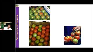 Postharvest technology of fruits and vegetables Dr Arumugam Thangaiah [upl. by Griseldis584]