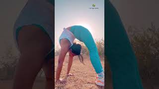 Standing Chakrasana yogaurmi shortvideo yogapose shorts ytshort urmiyogaacademy [upl. by Merell956]