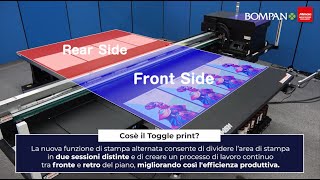 Mimaki JFX6002531  Funzione di stampa alternata [upl. by Marjy514]