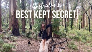 Travel Australia  Road Trip Margaret River Region  Boranup Forest [upl. by Kussell]